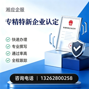 黔东南专精特新企业申报服务