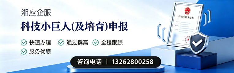 黔东南科技小巨人及培育企业申报服务