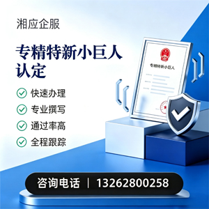 黔东南专精特新小巨人申报服务