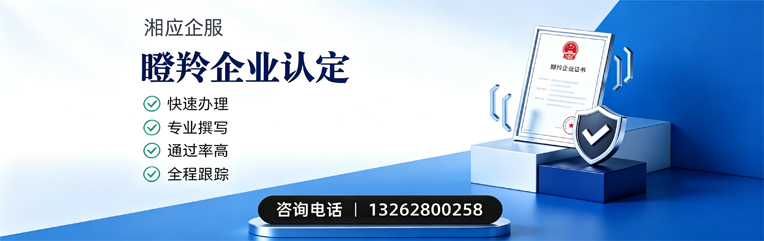 黔东南瞪羚企业认定申报服务