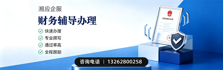 黔东南财务辅导申请服务