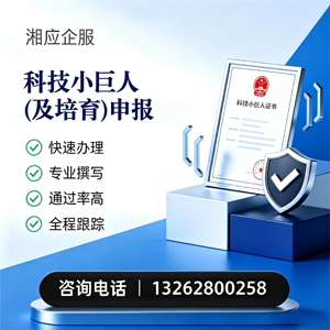 黔东南科技小巨人及培育企业申报服务