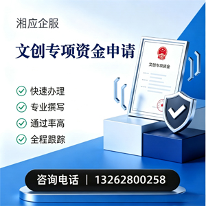 黔东南文创专项资金申报服务