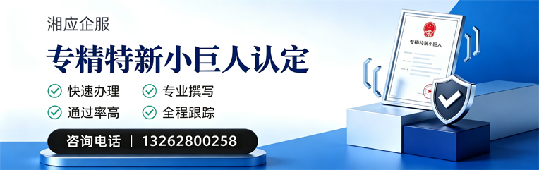 黔东南专精特新小巨人申报服务